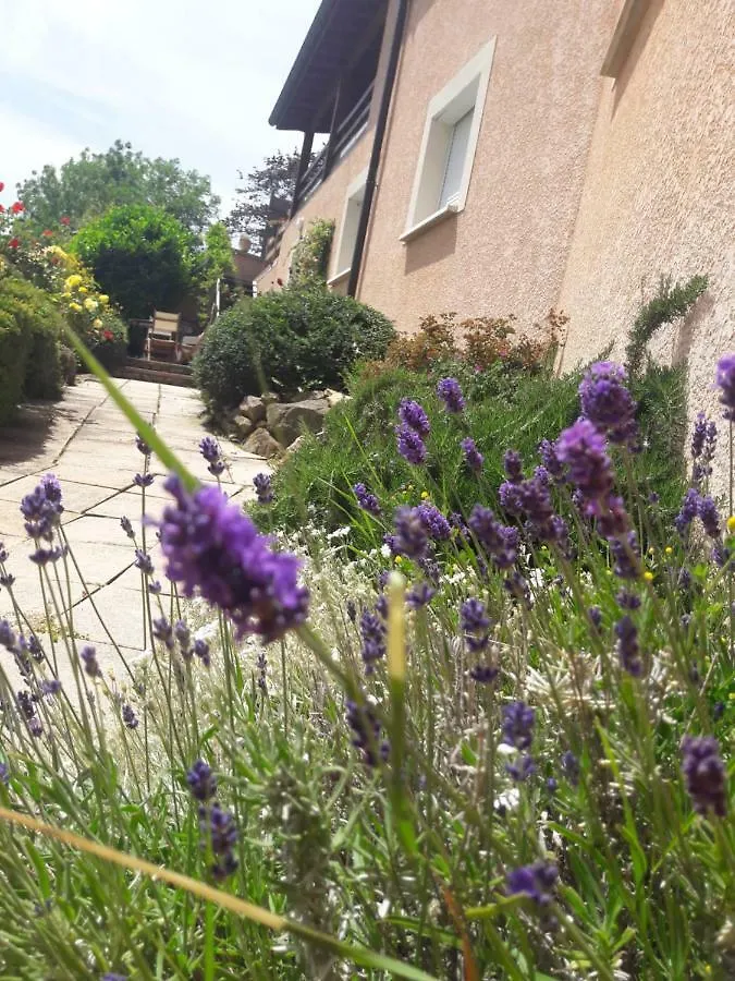 Nyaraló La-Haut Sur La Colline Hotel Yzeron Franciaország